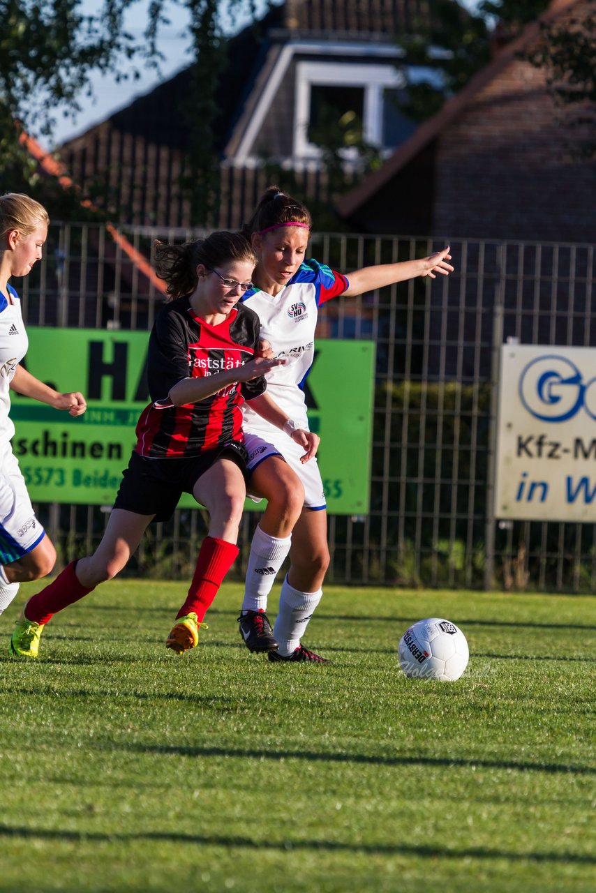 Bild 203 - B-Juniorinnen SG Wilstermarsch - SV Henstedt Ulzburg : Ergebnis: 5:1